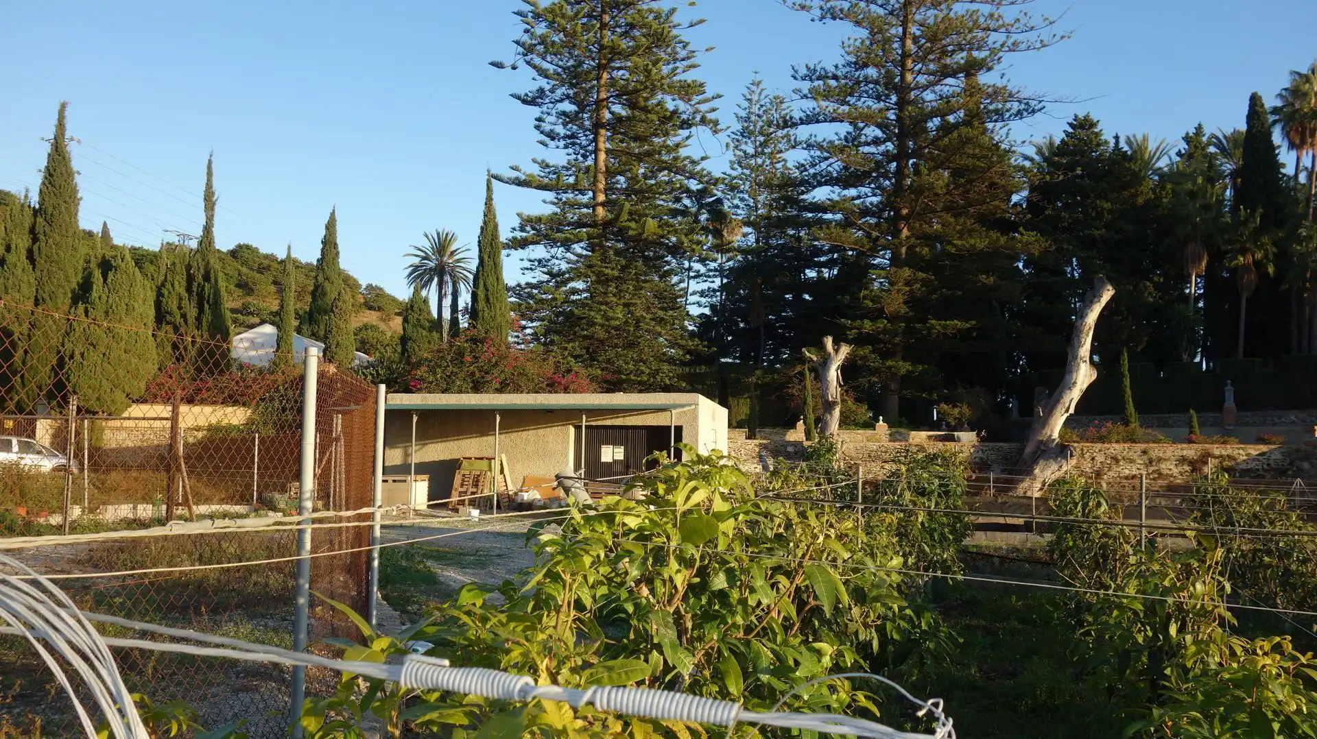 Casa rústica en venda a Motril  ciudad, imagen 4
