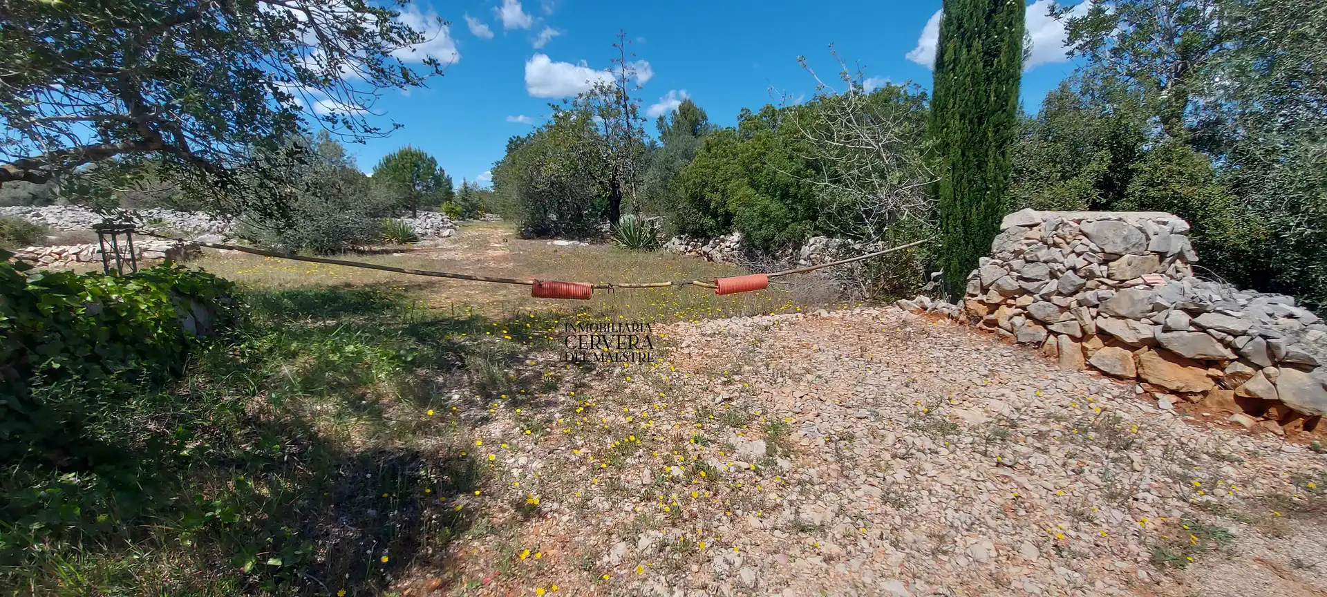 Terreno rustico in vendita a Cervera del Maestre, imagen 2