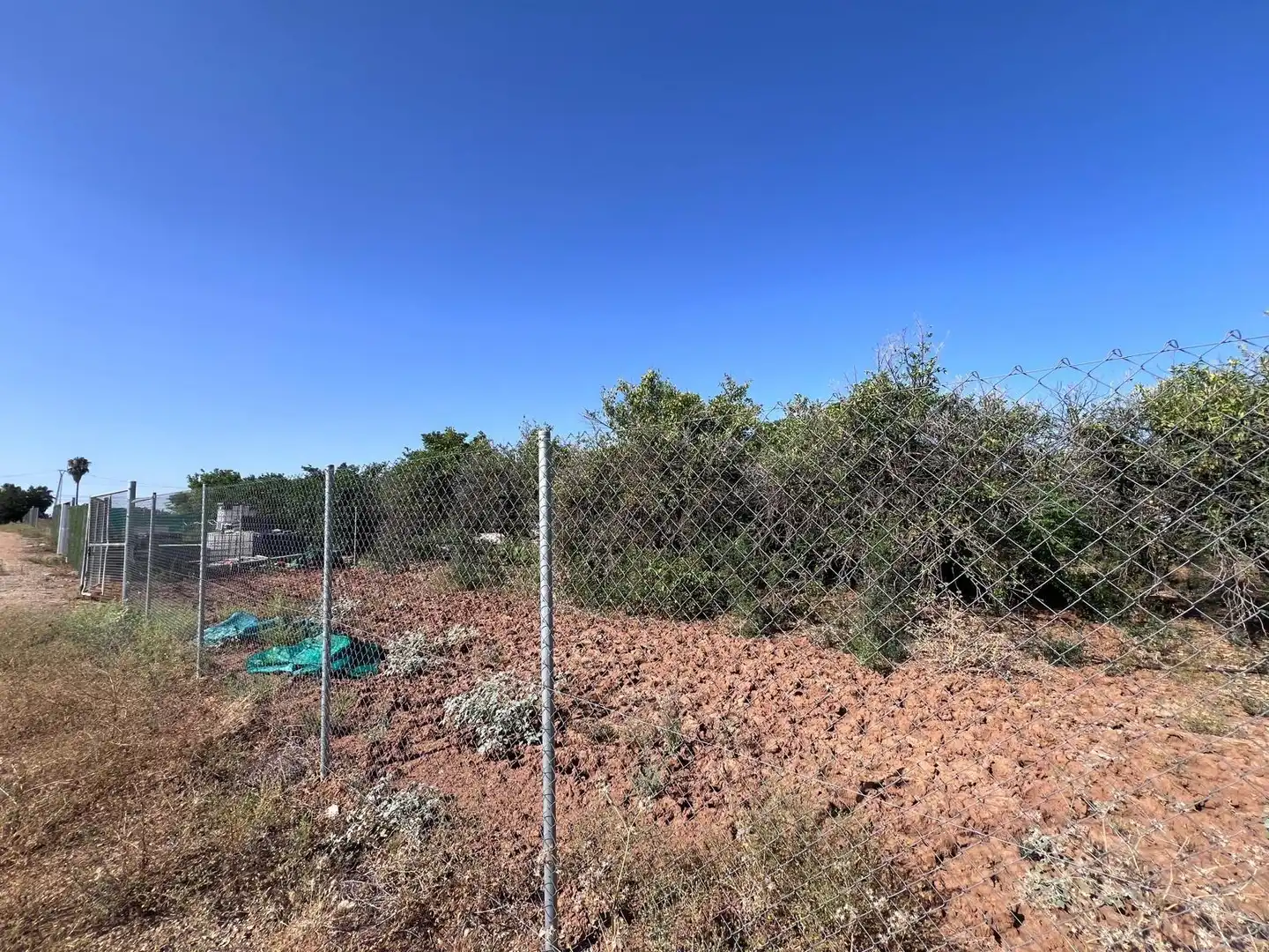 Rural land for sale in Guillena pueblo, imagen 5