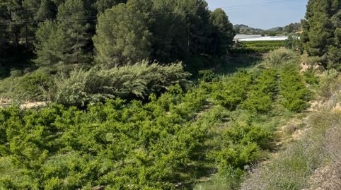 Se vende Finca de 12 has regadío frutales y construcciones., immagine 2
