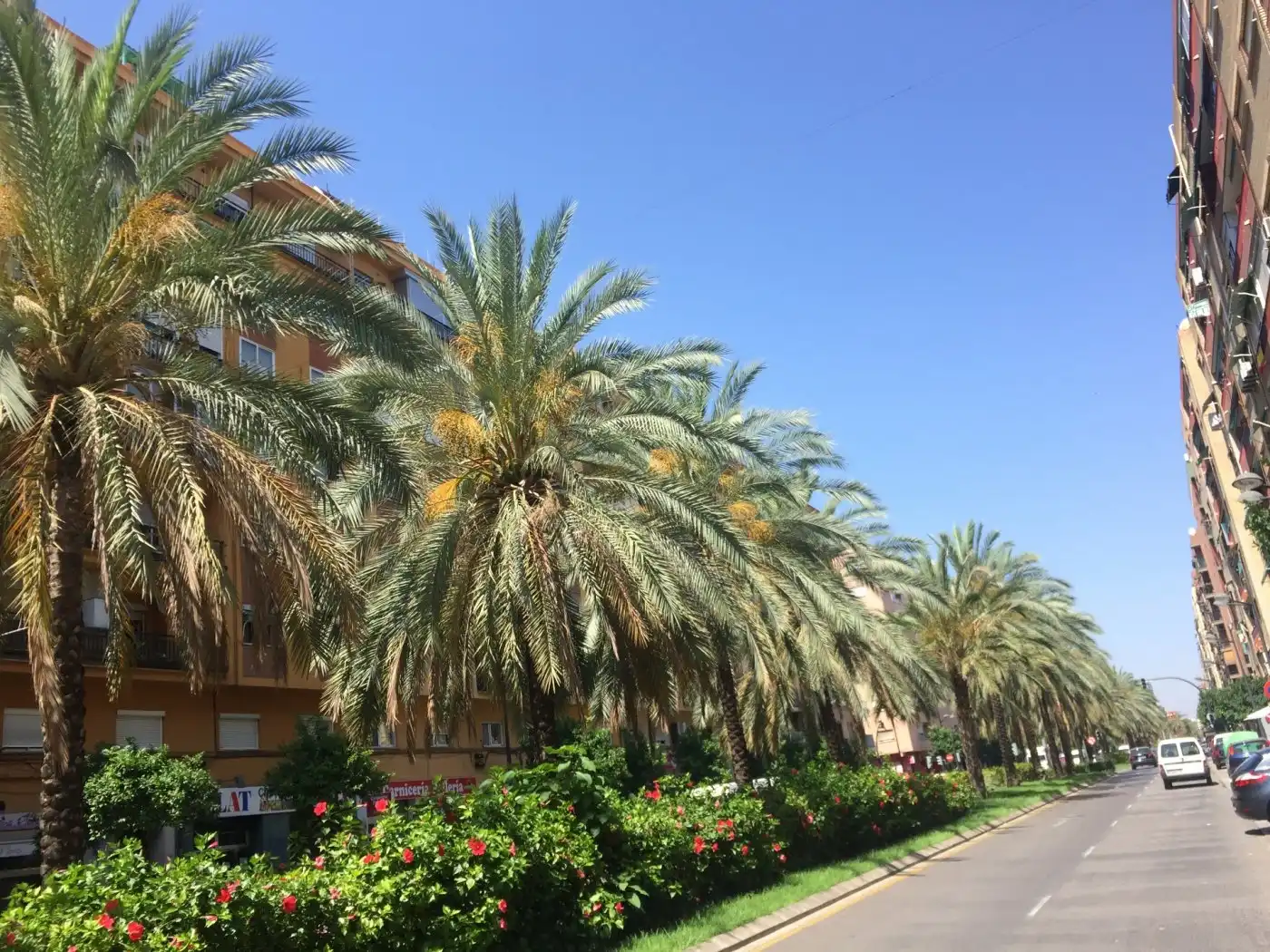Außenansicht von Wohnung zur Miete in Valencia mit Terrasse, Möbliert und Balkon