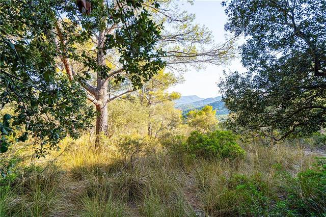 Terreno en Venta en Establiments