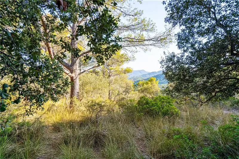 Terreno rustico in vendita a Nord
