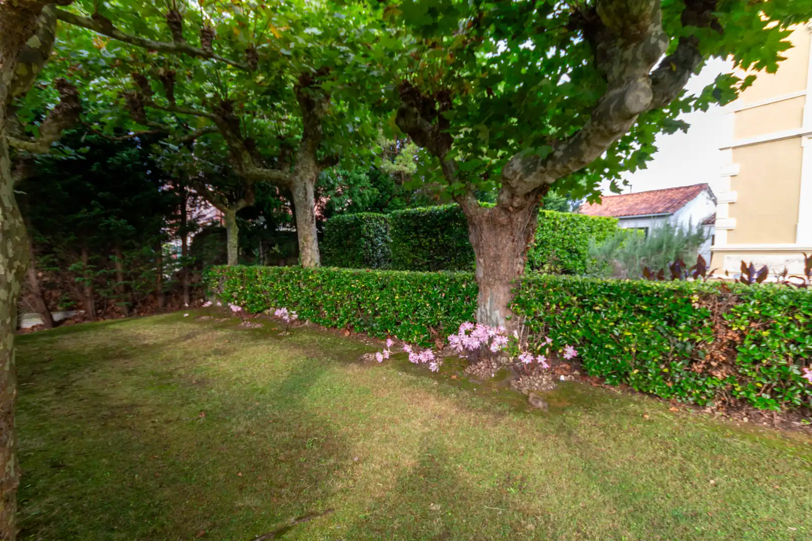 Villa con giardino in vendita a Calle Isla de la Erbosa 1A, imagen 12
