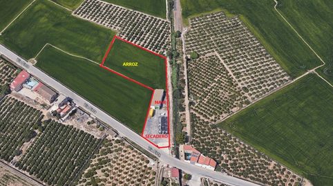SE VENDE PARCELA/SECADERO + CAMPO 4 HANEGADAS DE ARROZ + NAVE/GRANERO, imatge 2