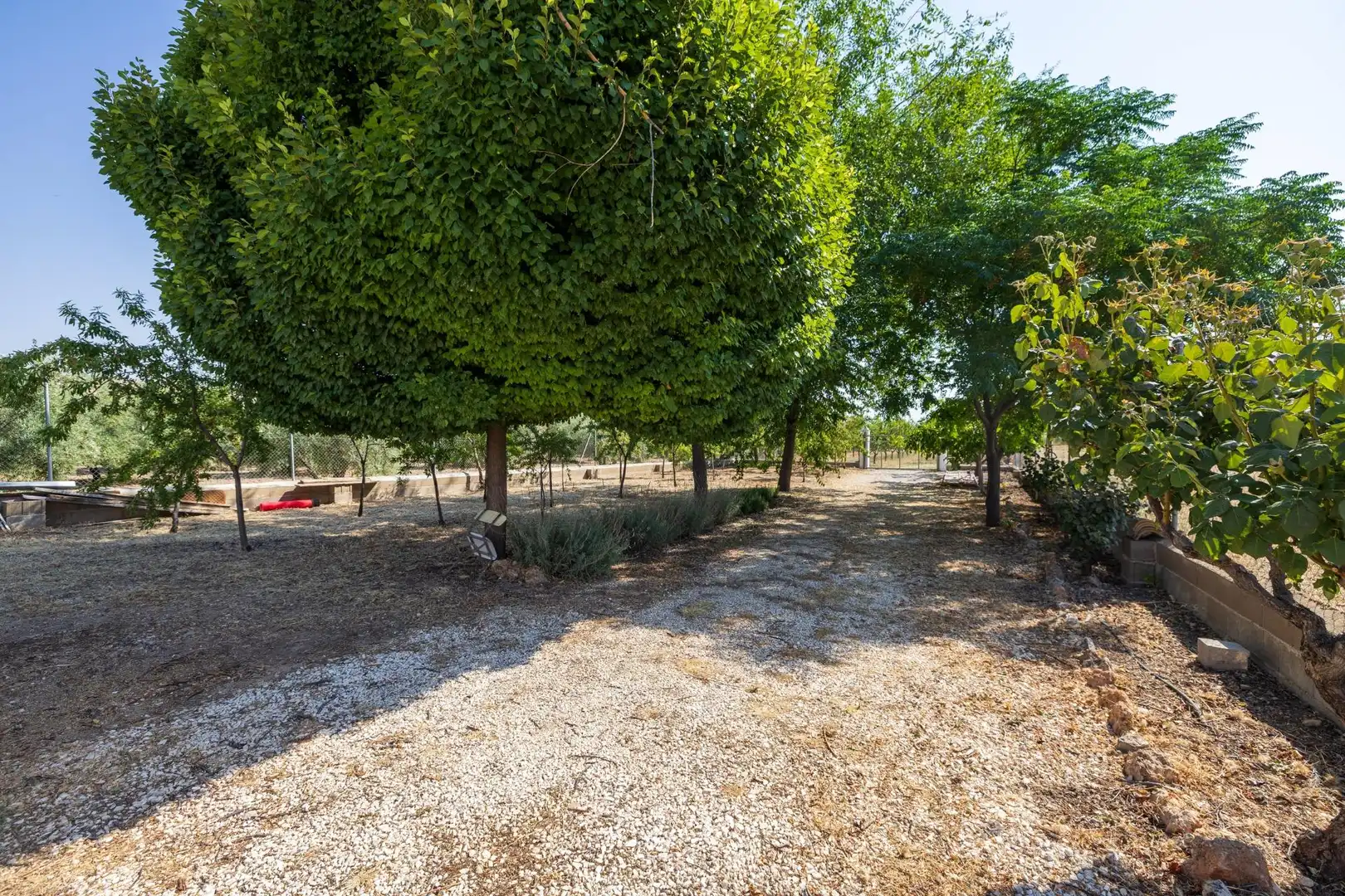Casa o chalet en venta en Darro con Aire acondicionado, Calefacción y Jardín privado