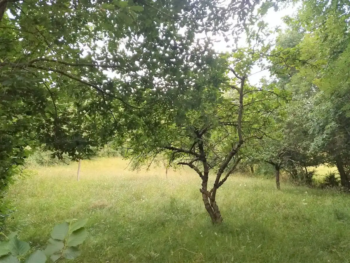 Residential land for sale in LAS CORRADAS (LA MATA), imagen 2