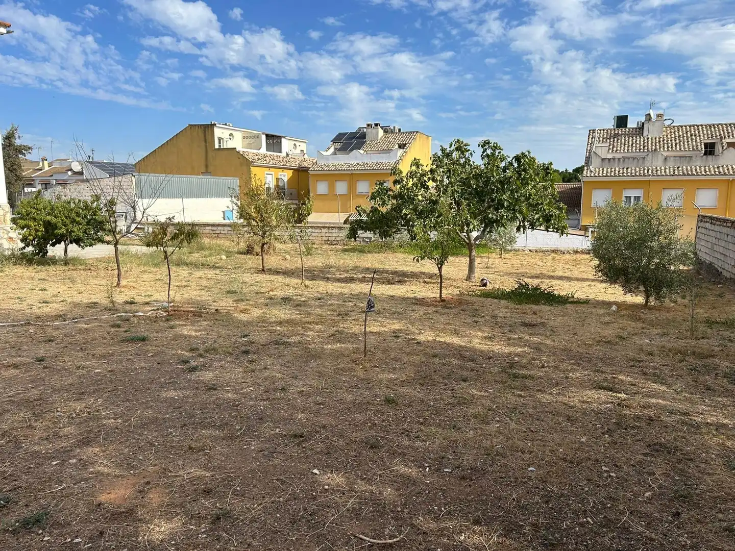Lands and plots for sale in Mollina, imagen 10