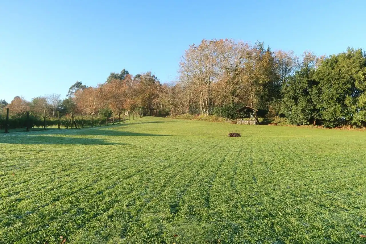 Residential for sale in Meneiroas, A Laracha