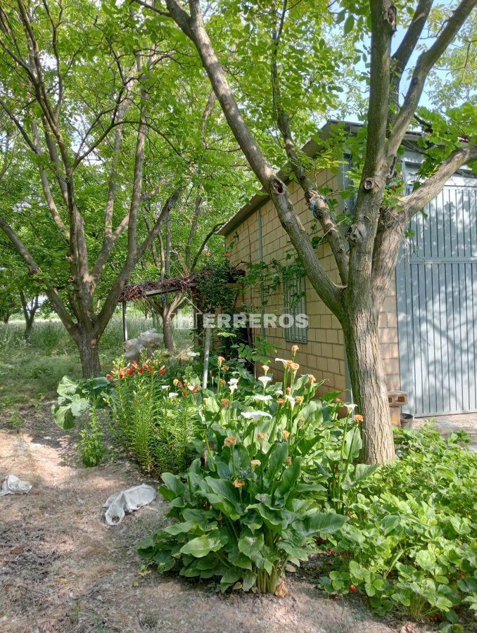 Jardí de Finca rústica en venda en Arrúbal