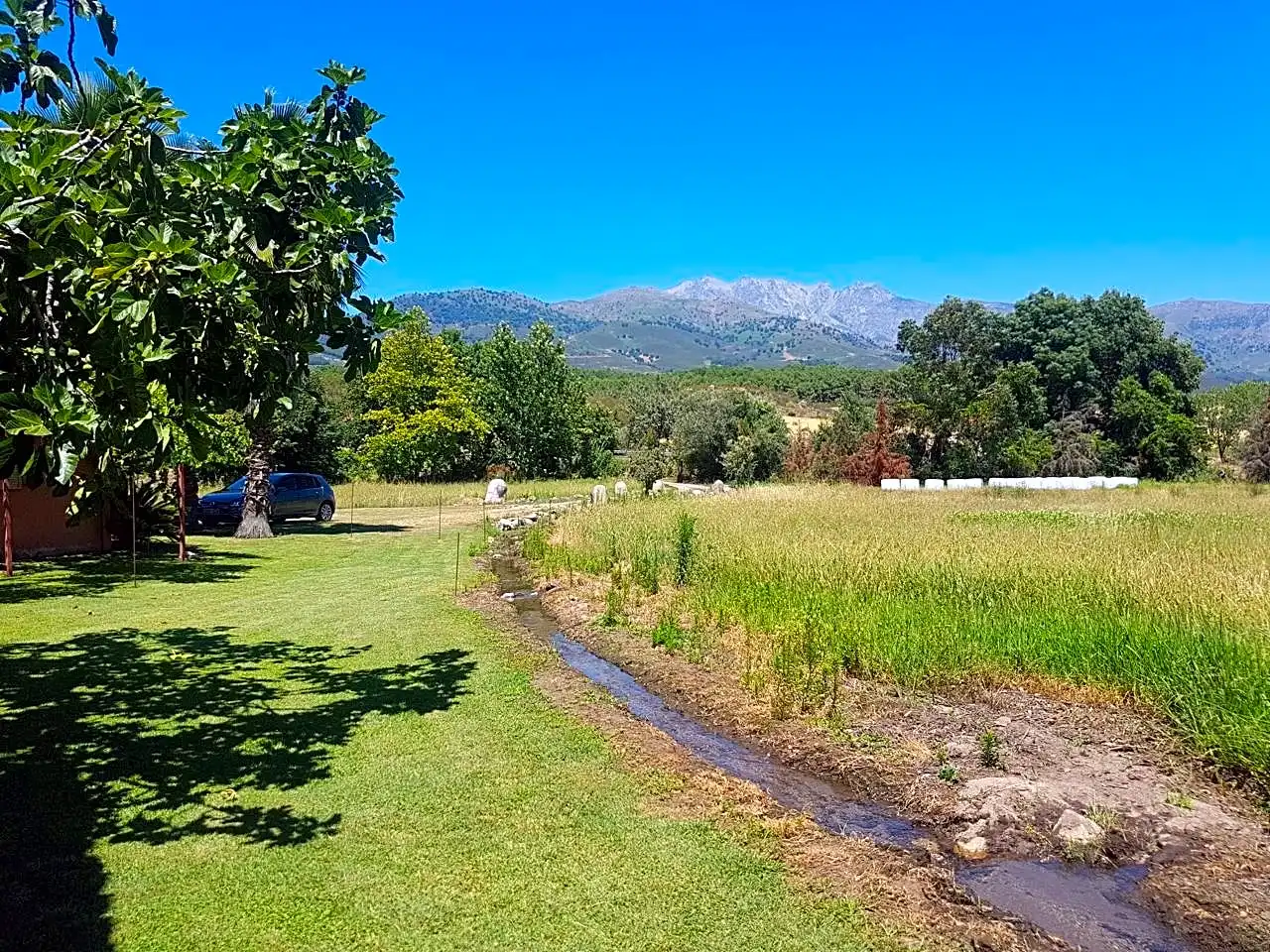 Finca rústica en venta en Madrigal De La Vera, 1, Candeleda