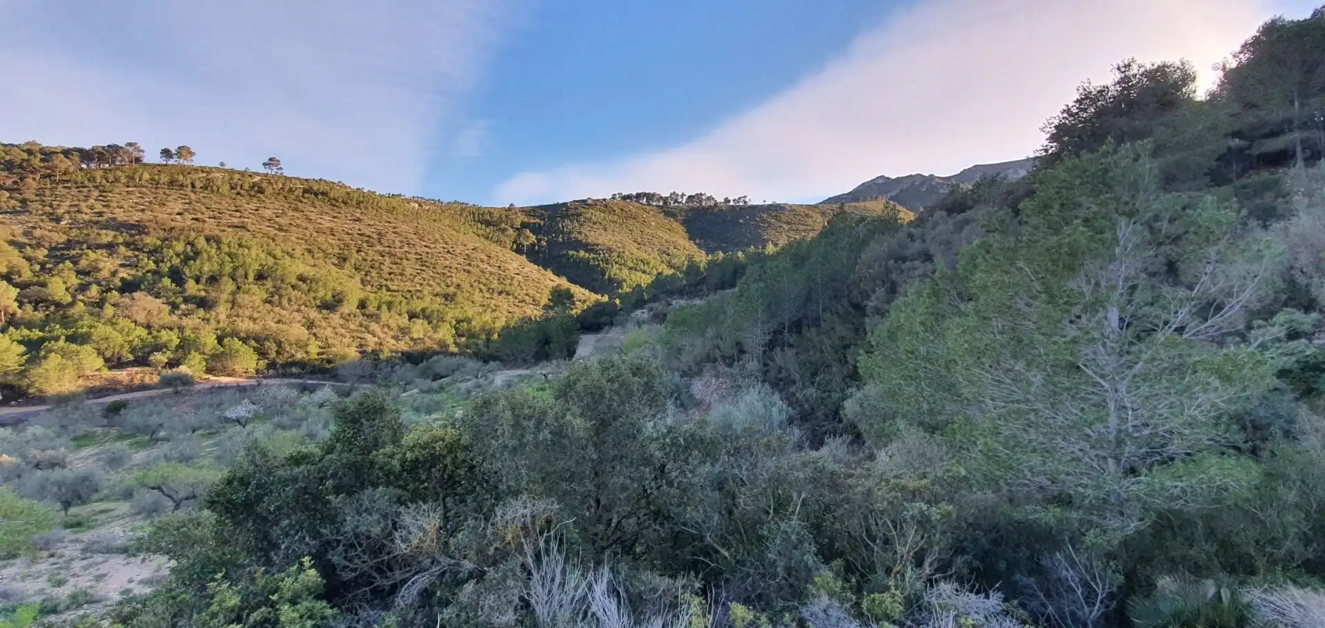 Vista exterior de Casa o chalet en venta en Rasquera