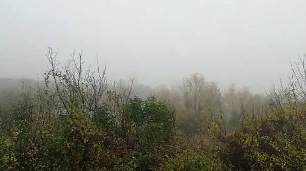 Terreno rustico in vendita a Aigua de la Baells, imagen 13