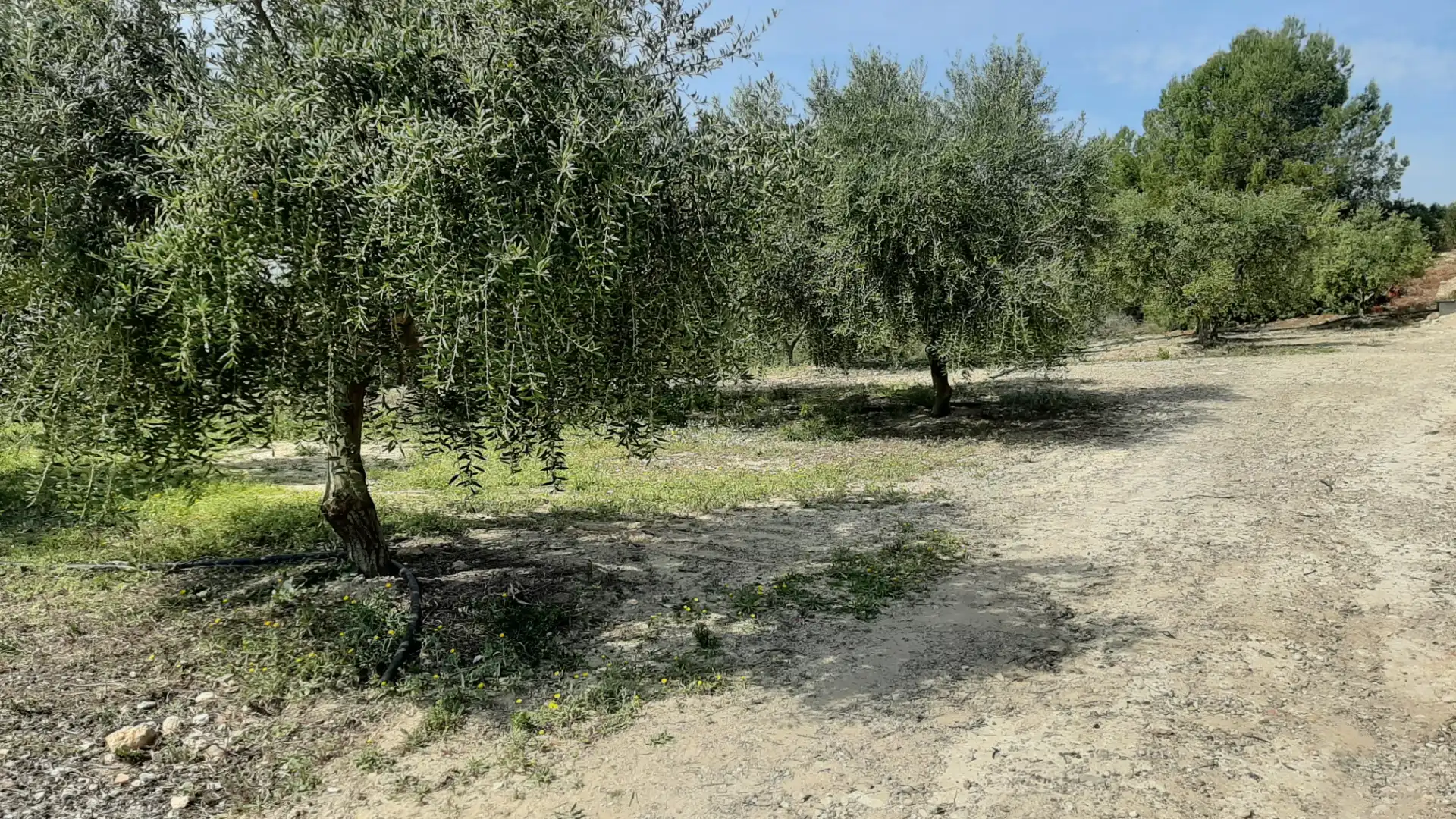 Rural land for sale in N/A, imagen 6