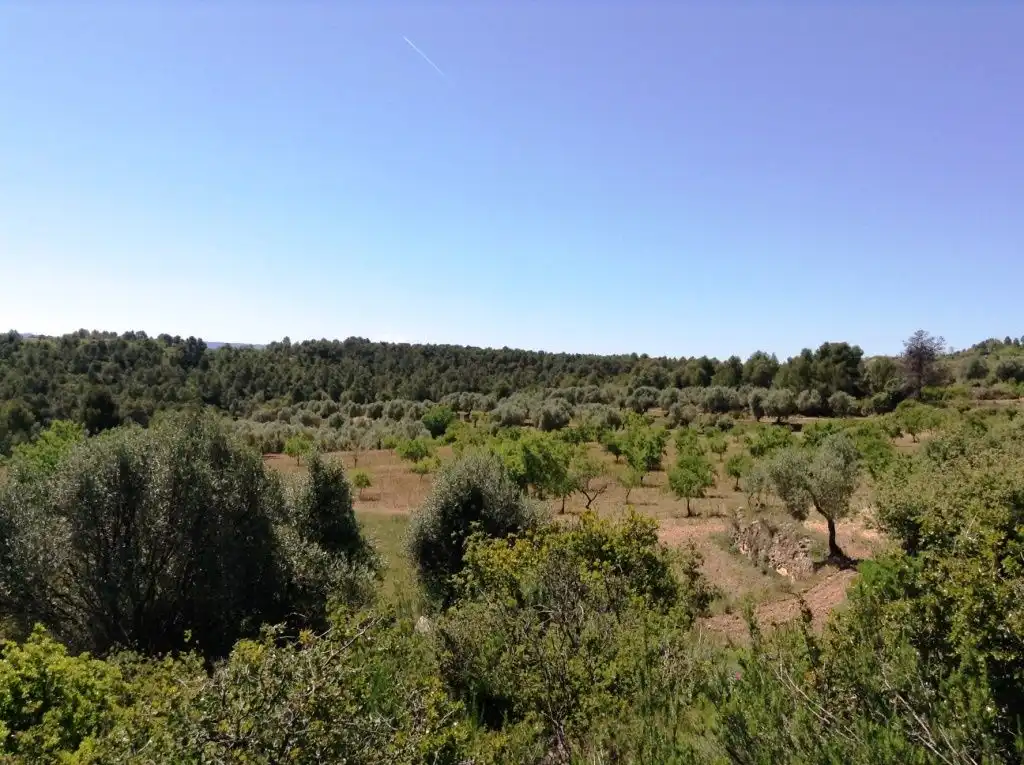Terreni e lotti in vendita a Arens de Lledó, imagen 6