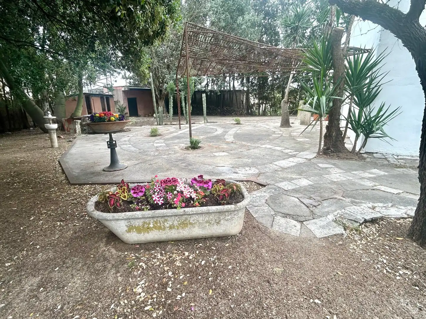 Country homes for sale in Caballero Bonald - San José Obrero - Guadalcacín