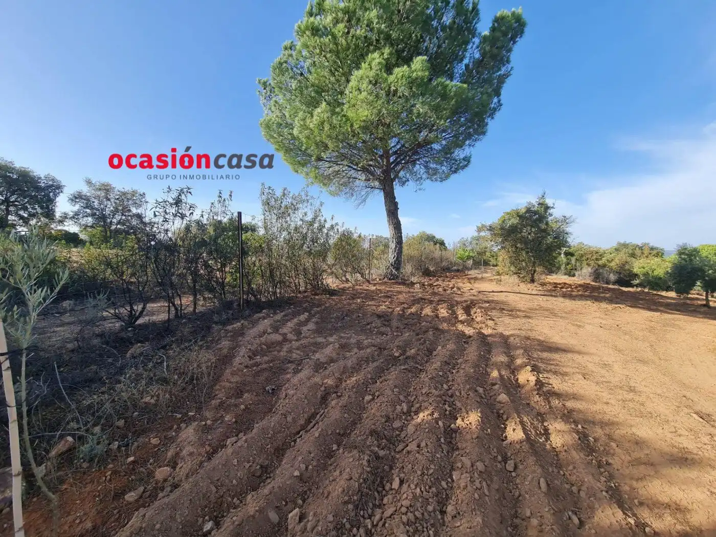 Casa rústica amb jardí en venda a Villanueva del Rey, imagen 9