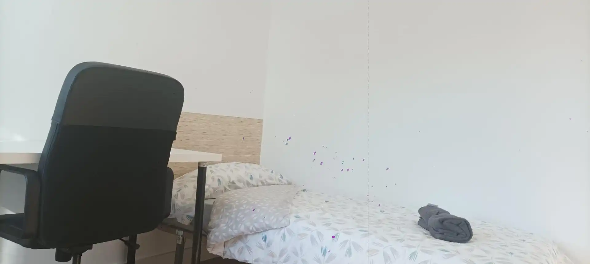 Pis de lloguer a Casería de Montijo