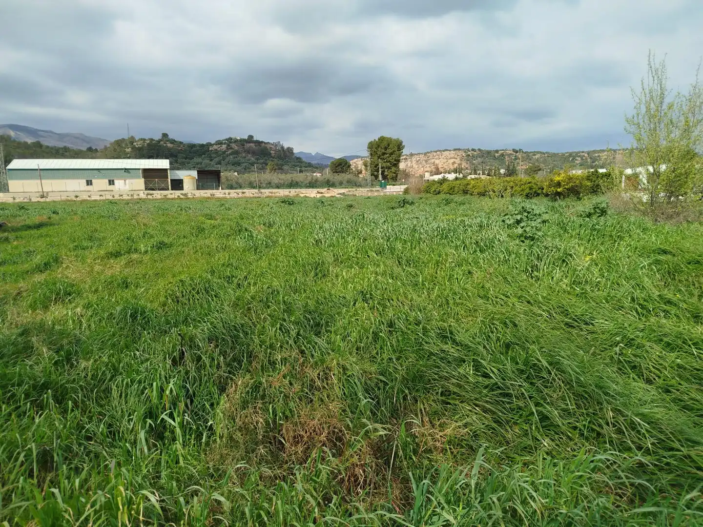 Casa rústica en venda a Xerta, imagen 2