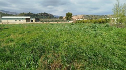 Finca rústica en Xerta con acceso directo al río Ebro, image 2