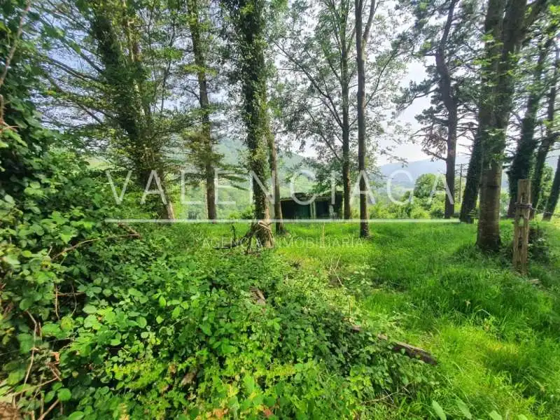 Houses for sale in Ataun