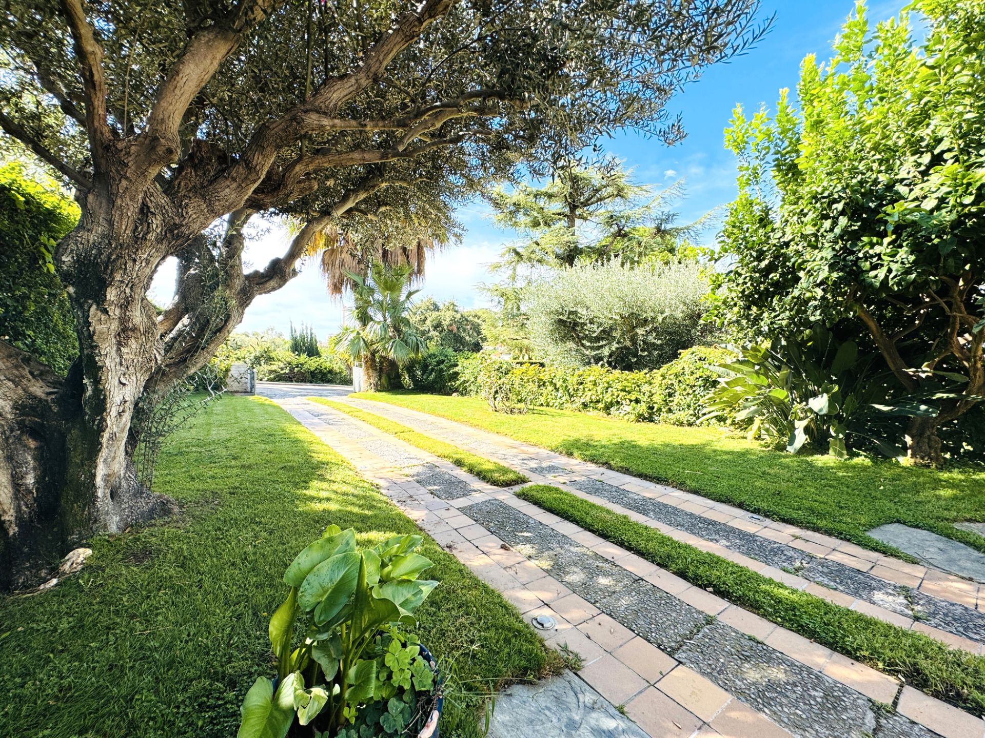 Garden of Single-family semi-detached to rent in Teià  with Air Conditioner, Heating and Oven