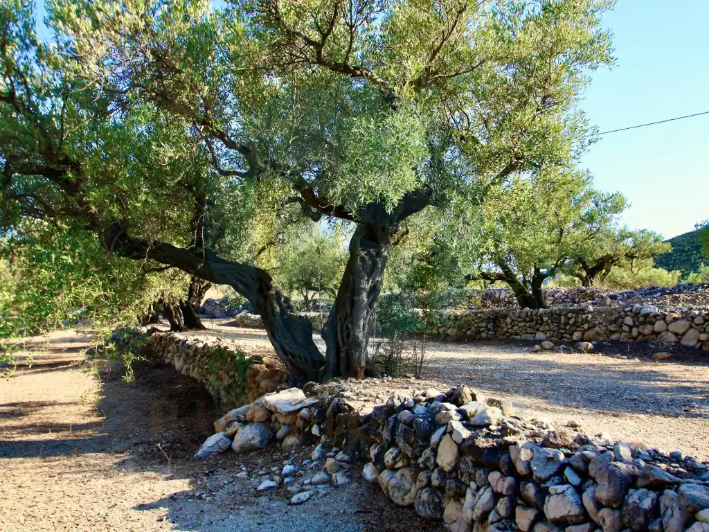 Jardín de Finca rústica en venta en Roquetes
