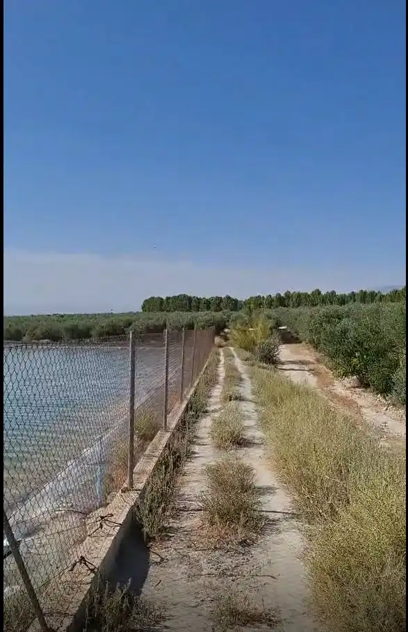 Terreni e lotti in vendita a Alcalá la Real, imagen 2