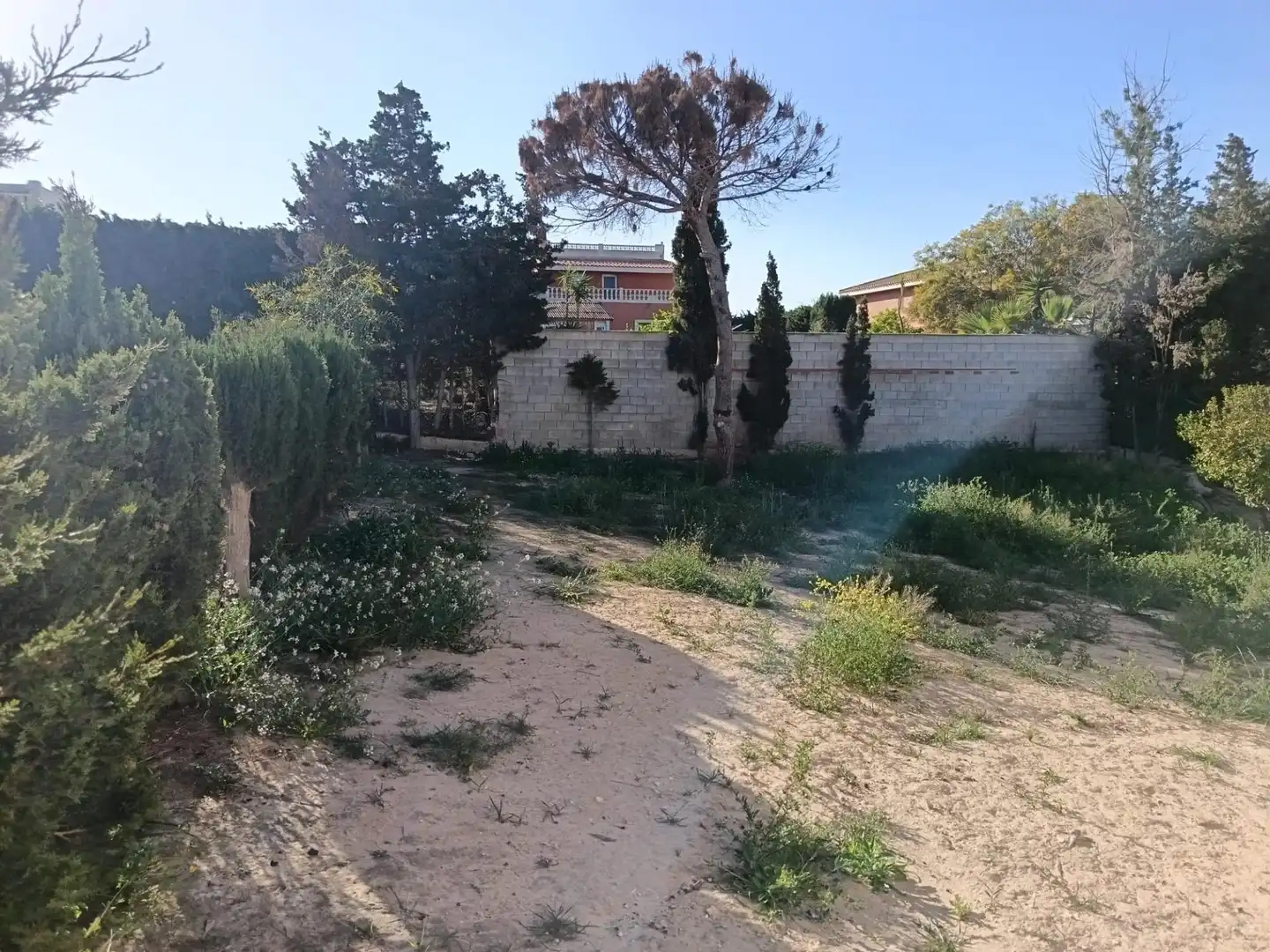Chalet con jardín en venta en Los Balcones - Los Altos, imagen 17