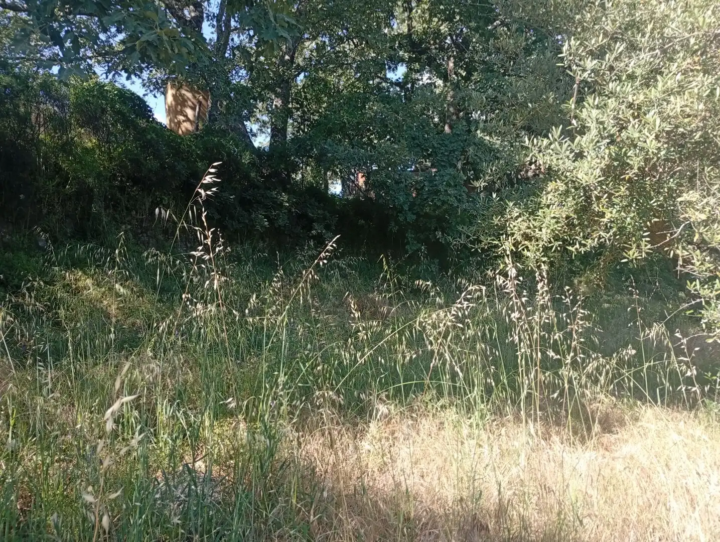 Maison à vendre à Villanueva de la Vera, imagen 72