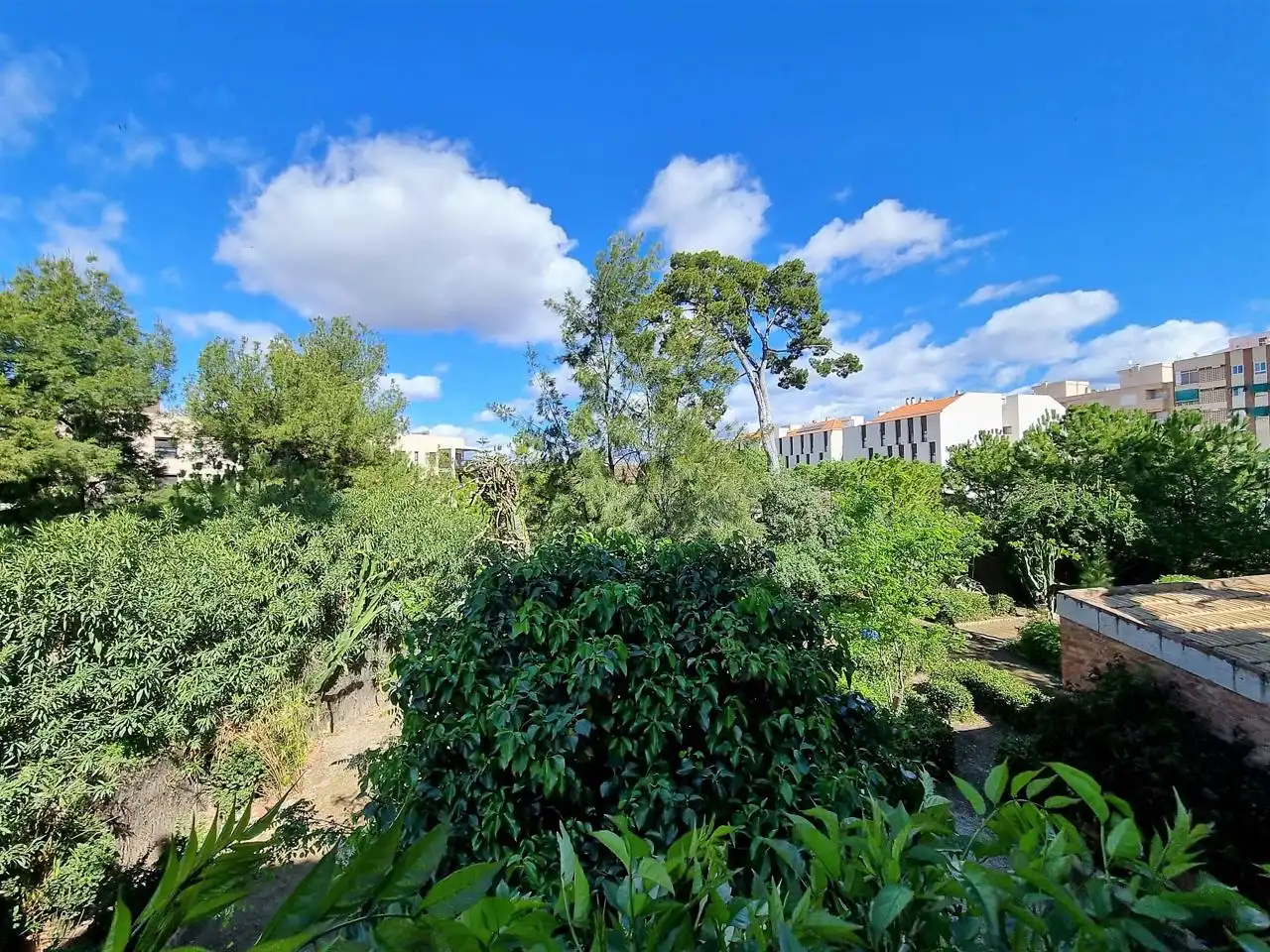 Garten von Gebäude zum Verkauf in Sant Joan d'Alacant