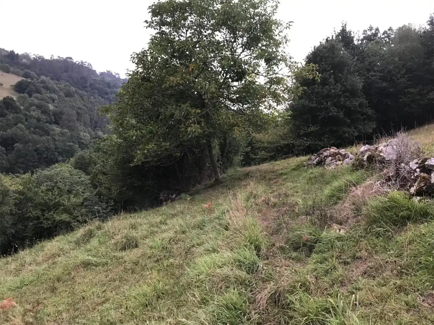 Finca rústica en venda en Piloña