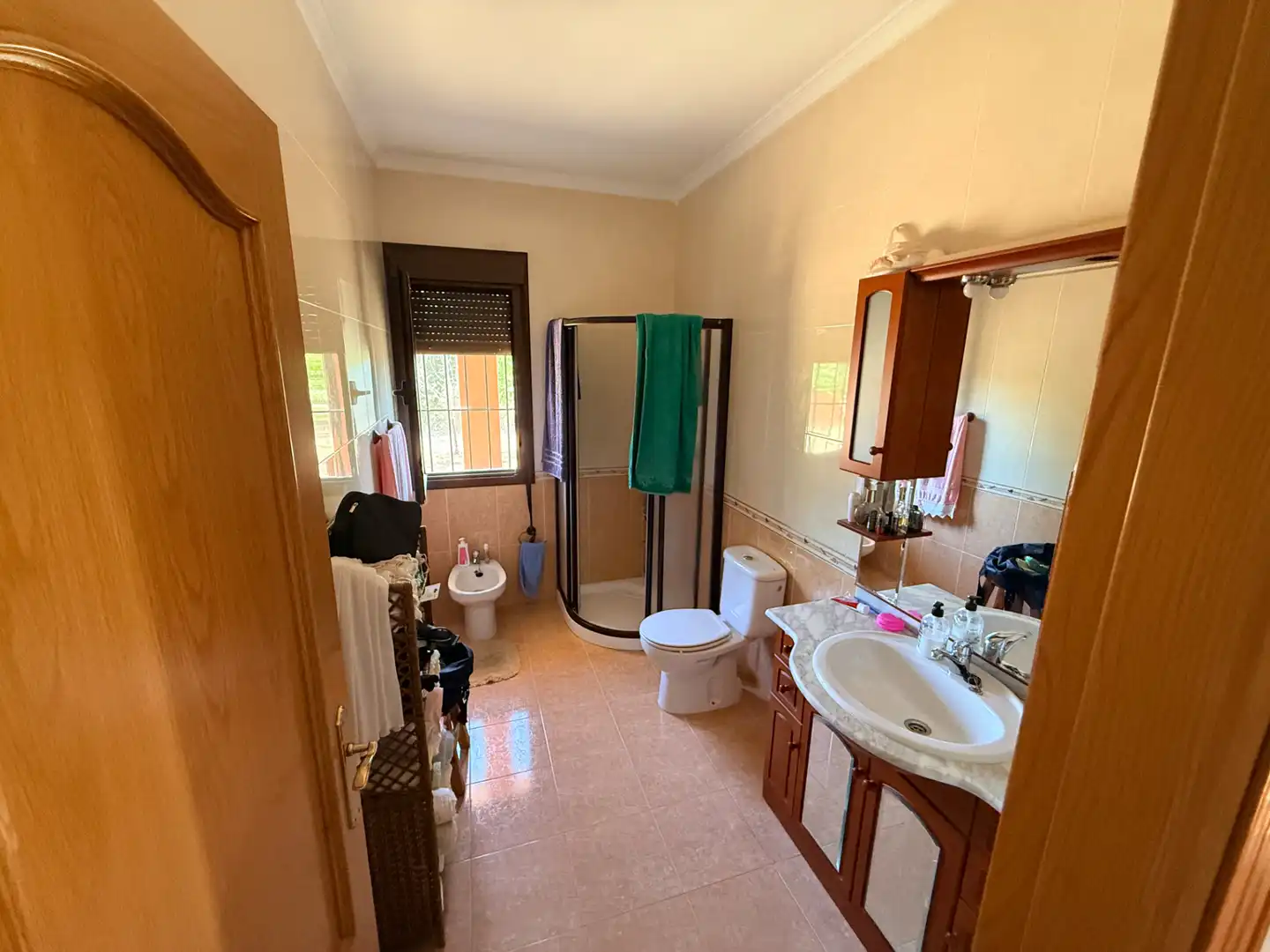 Bany de Finca rústica en venda en Tomelloso amb Jardí privat, Piscina i Moblat