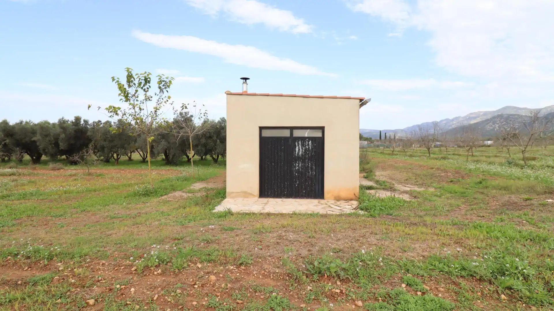 Terreny rústic en venda a Ulldecona, imagen 5