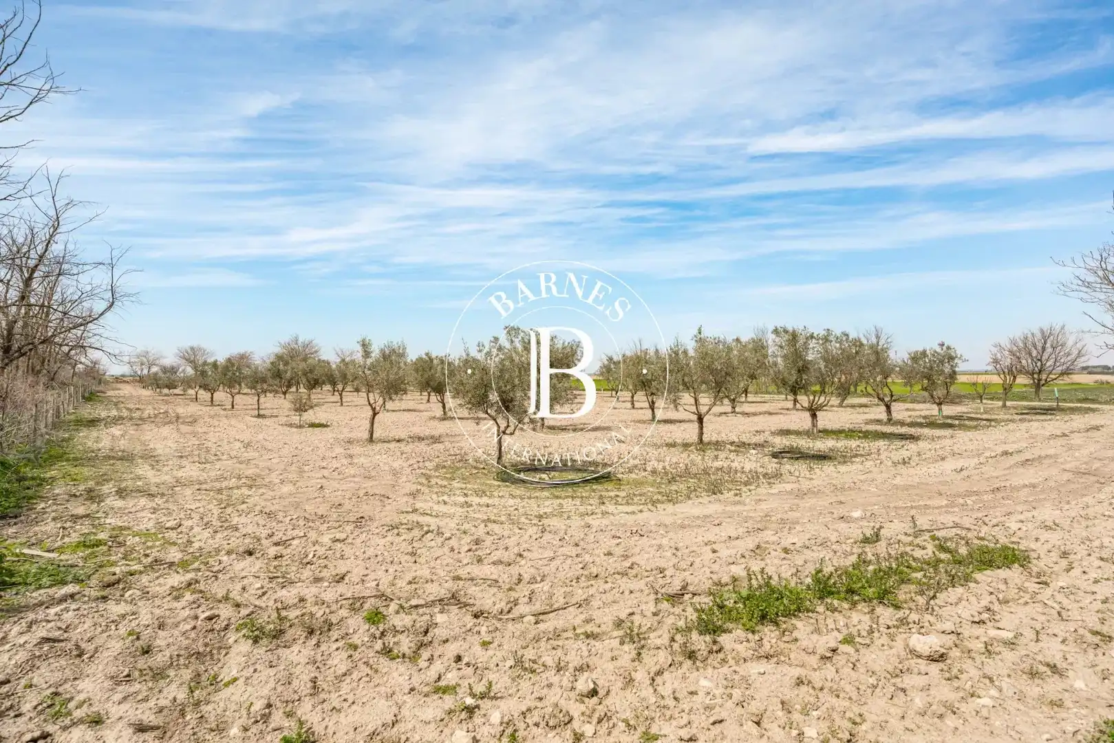 Casa o chalet en venta en Alcázar de San Juan con Jardín privado, Piscina y Amueblado