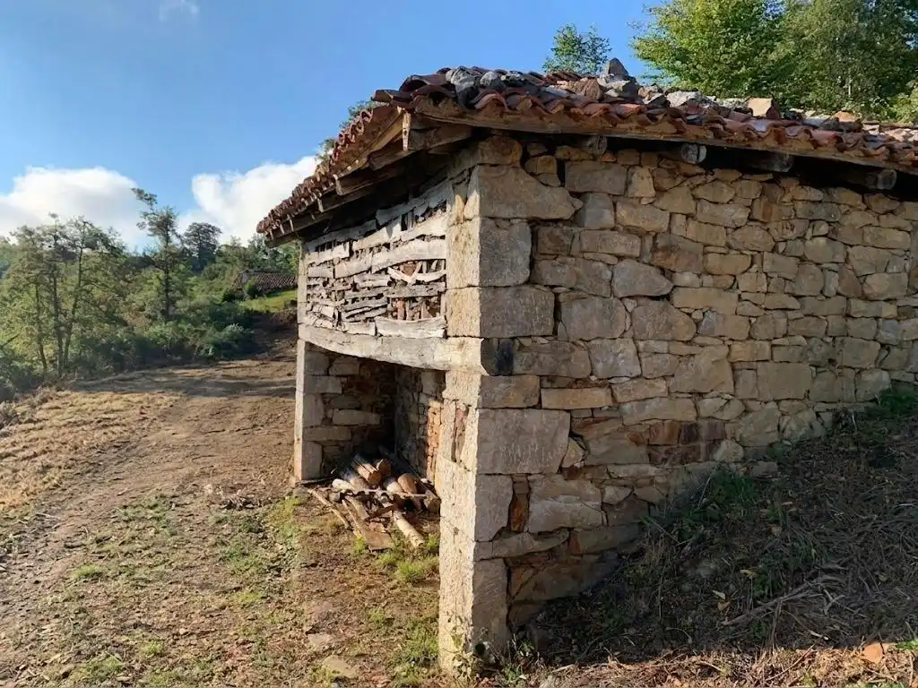 Casa con jardín en venta en Quirós, imagen 7