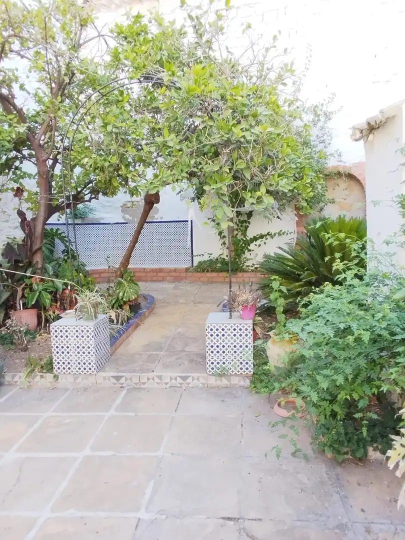Jardí de Casa o xalet en venda en Porcuna amb Calefacció, Jardí privat i Terrassa