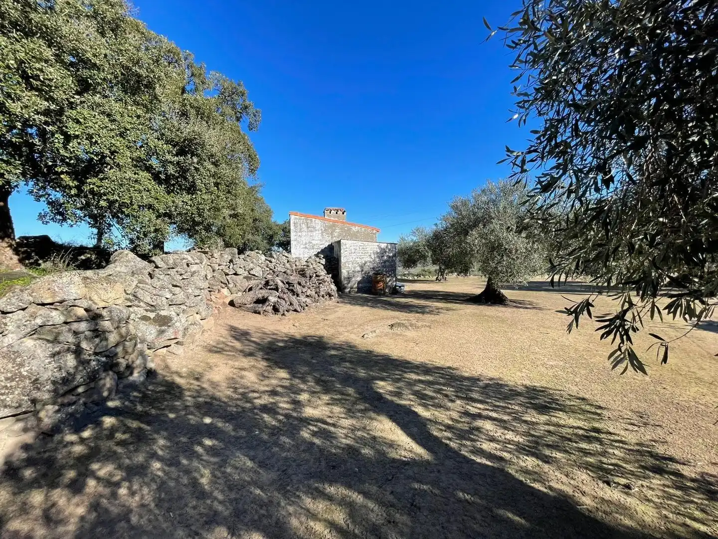 Terreni e lotti in vendita a Montánchez, imagen 3