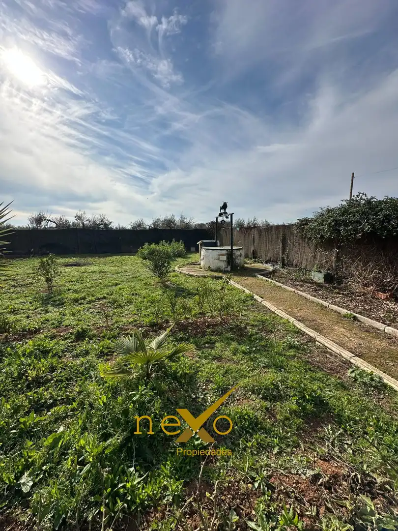 Chalet con piscina en venta en Carmona, imagen 4