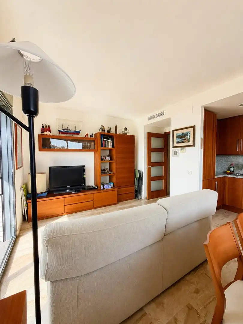 Sala de estar de Apartamento en venta en L'Ampolla con Aire acondicionado, Terraza y Amueblado