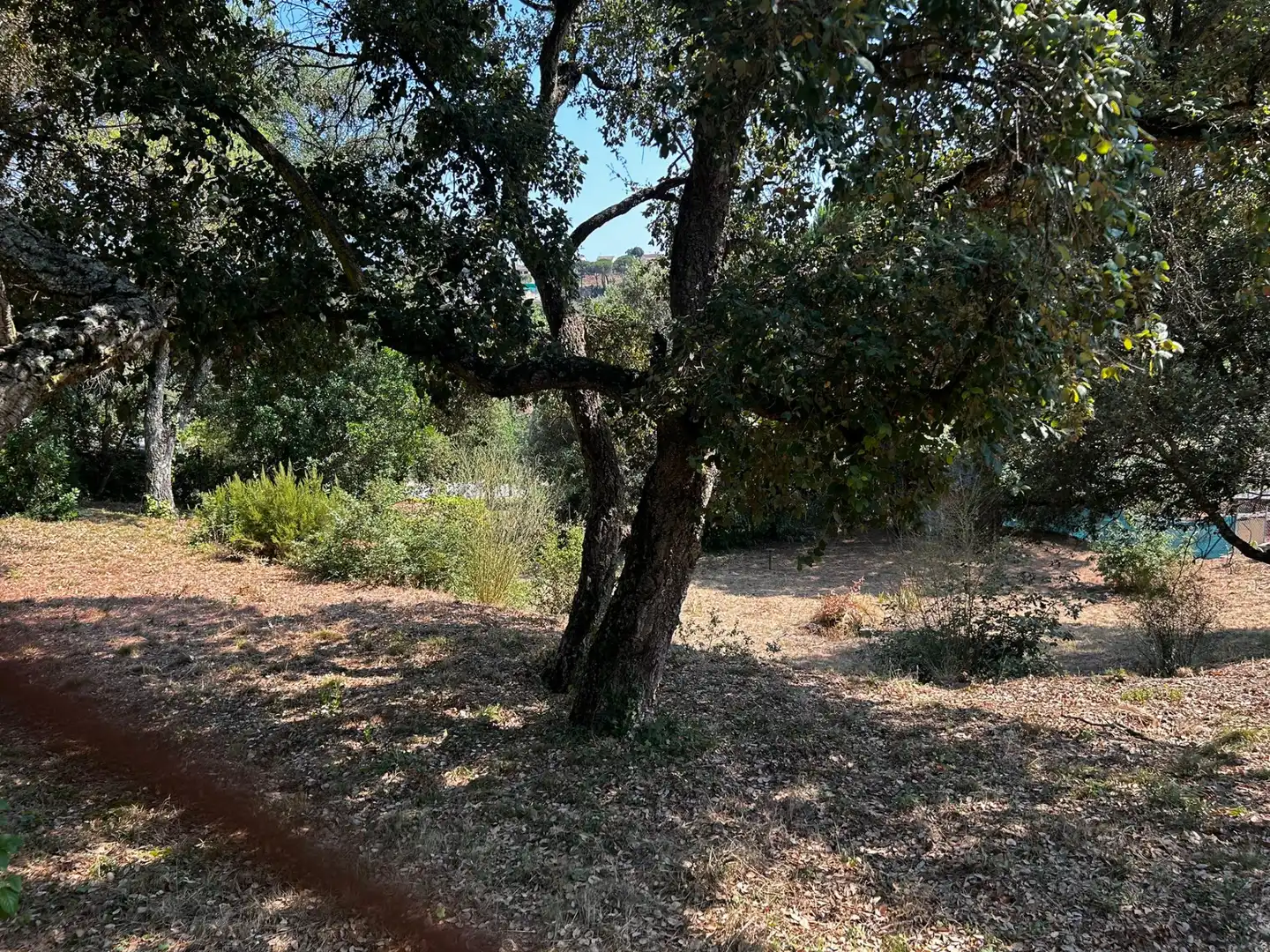Terreno residencial en venta en Niàgara Parc - Àgora Parc, imagen 7