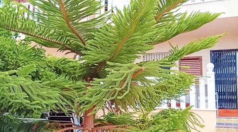 Foto 5 de Apartament en venda a N/a, Lomas de Cabo Roig - Los Dolses, Orihuela