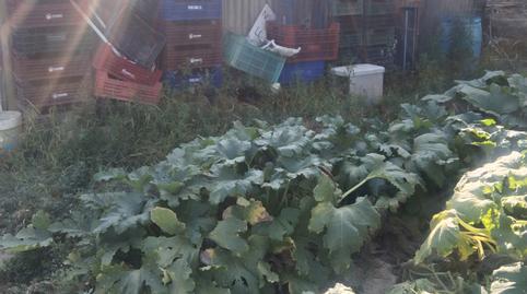 Photo 5 of Country house for sale in Camí del Riu, 2, Valls, Tarragona