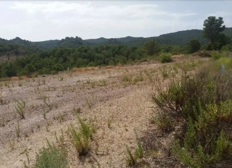 Terreny residencial en venda a F-A FASE I SEC B TORREGUI, imagen 13
