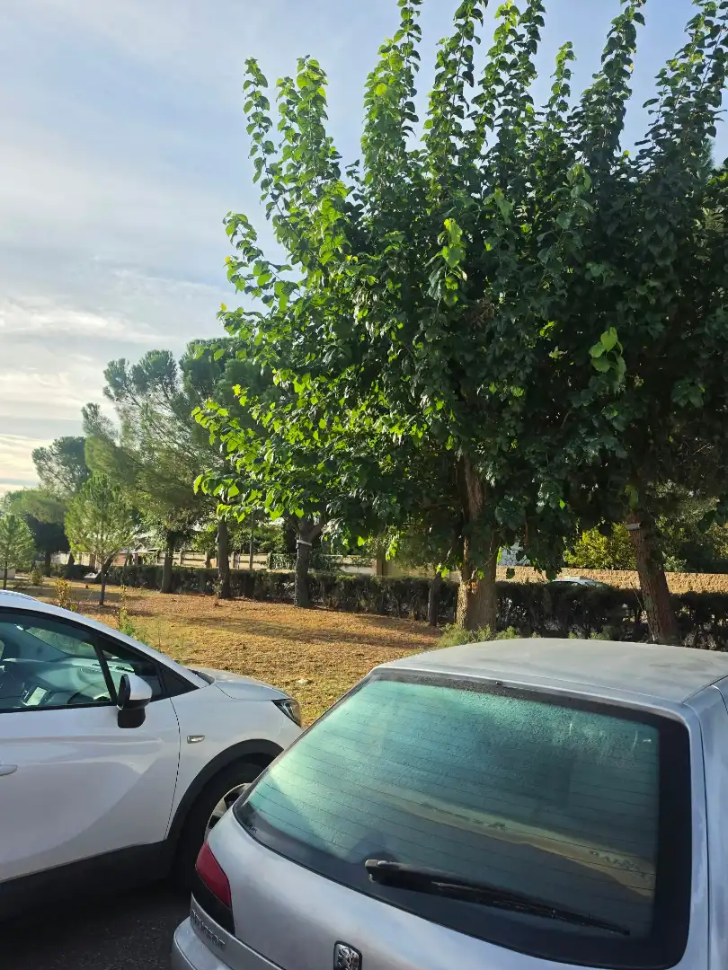 Casa o xalet en venda en Villamiel de Toledo