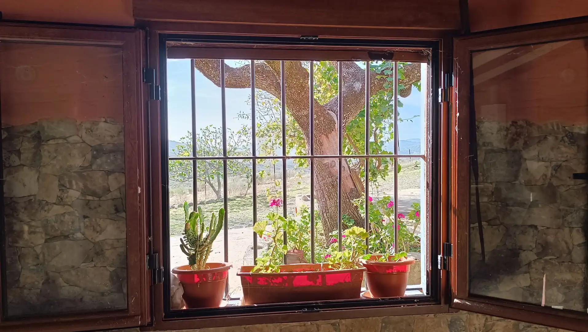 Land for sale in Cabañas del Castillo