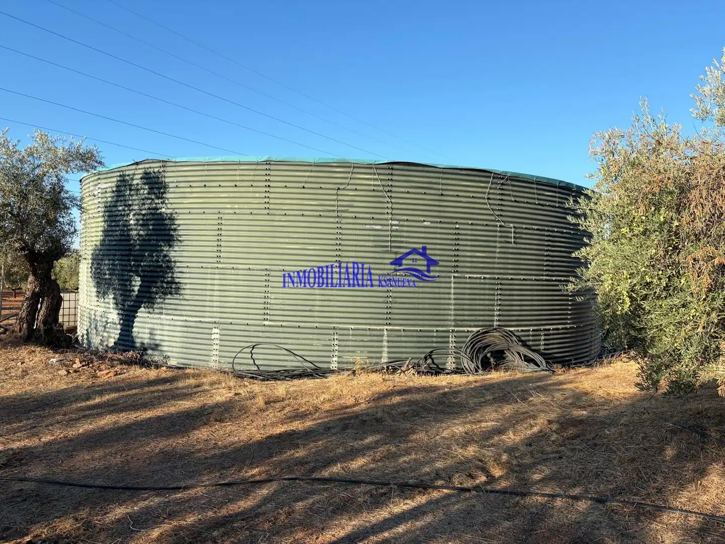 Vista exterior de Finca rústica en venta en Villa del Río, Córdoba