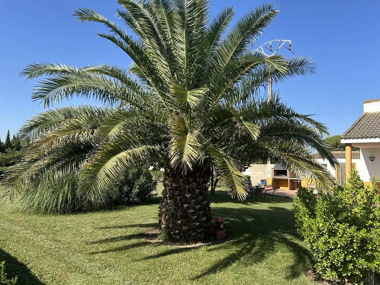Finca rústica en venta en Galoche, Azucarera