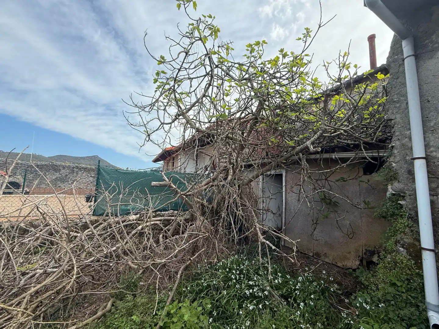 Casa o xalet en venda en Argoños  amb Jardí privat