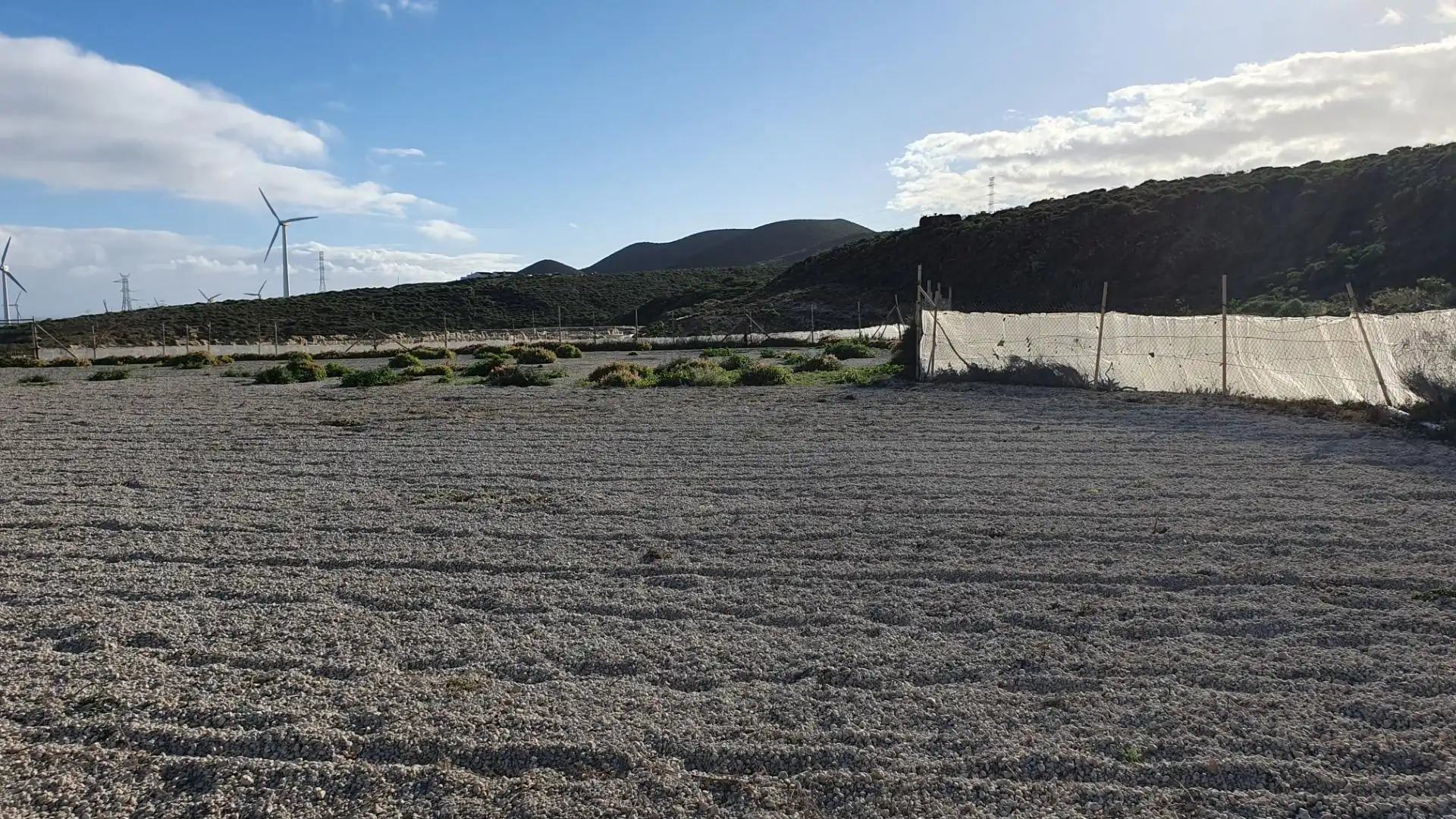 Terreno rustico in vendita a Arico, imagen 12